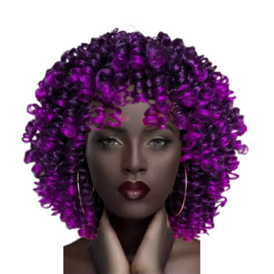 Fayasu Curly Afro Wig with Bangs Short Kinky Curly Wigs